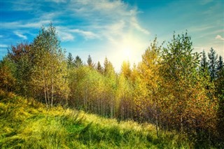 Ukrayna hava tahmini