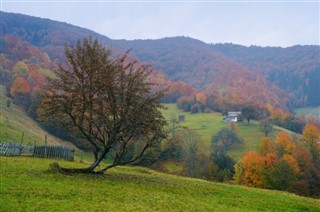 Ukrayna hava tahmini