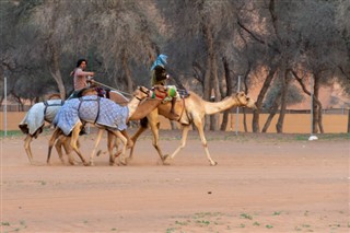 Forenede Arabiske Emirater vejrudsigt