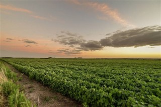 Uruguay hava tahmini