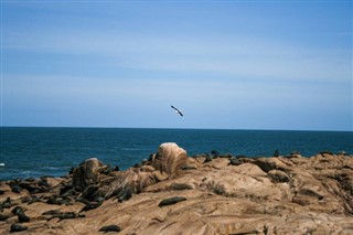Uruguay hava tahmini