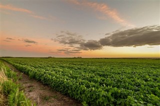 Uruguay vejrudsigt