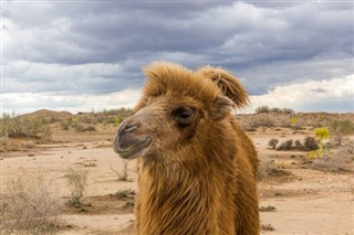 Usbekistan vejrudsigt