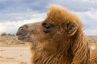 Usbekistan vejrudsigt