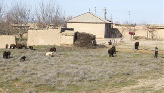 Usbekistan vejrudsigt