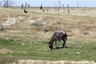 Özbekistan hava tahmini