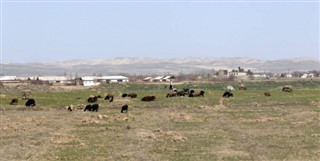 Özbekistan hava tahmini