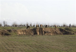 Özbekistan hava tahmini