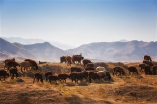 Usbekistan vejrudsigt