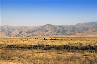 Özbekistan Hava tahmini