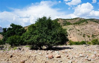 Usbekistan vejrudsigt