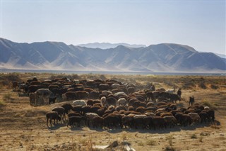 Özbekistan hava tahmini