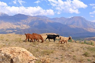 Özbekistan hava tahmini