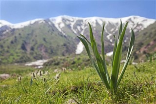 Özbekistan hava tahmini