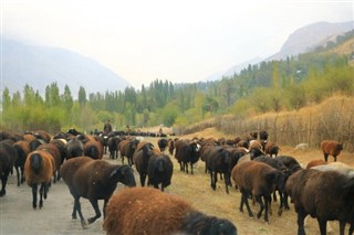 Usbekistan vejrudsigt