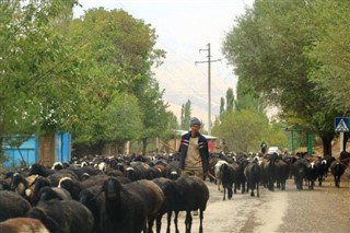 Usbekistan vejrudsigt