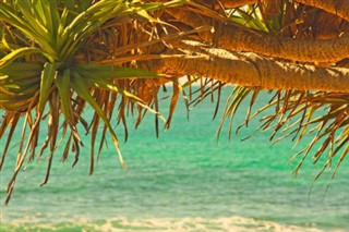 Vanuatu hava tahmini