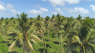 Vanuatu időjárás-jelentés