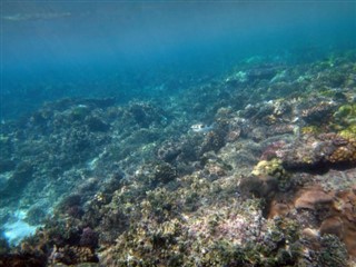 Vanuatu hava tahmini
