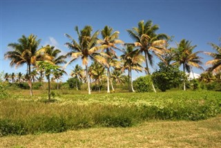 Vanuatu hava tahmini