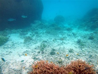Vanuatu hava tahmini