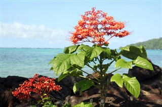 Vanuatu hava tahmini