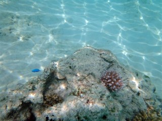 Vanuatu vejrudsigt