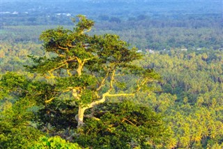 Vanuatu Hava tahmini