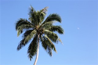 Vanuatu hava tahmini