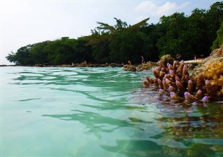 Vanuatu hava tahmini