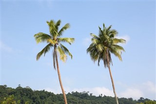 Vanuatu időjárás-jelentés