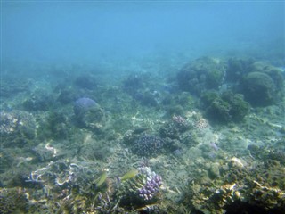 Vanuatu vejrudsigt
