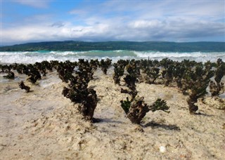 Vanuatu időjárás-jelentés