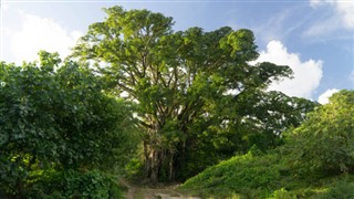 Vanuatu hava tahmini