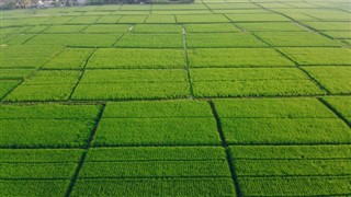 Vietnam hava tahmini