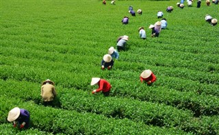 Vietnam hava tahmini