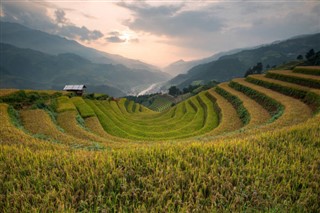 Vietnam vejrudsigt