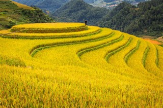 Vietnam vejrudsigt