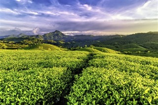 Vietnam hava tahmini