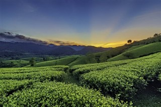 Vietnam hava tahmini