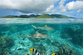 Wallis ve Futuna hava tahmini
