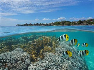 Wallis ve Futuna hava tahmini