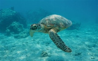 Wallis et Futuna prévisions météorologiques