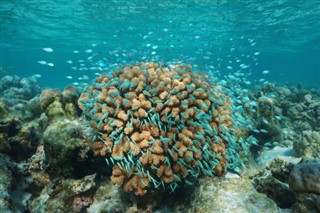 Wallis ve Futuna hava tahmini