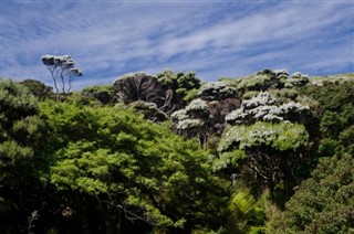 Wallis ve Futuna Hava tahmini