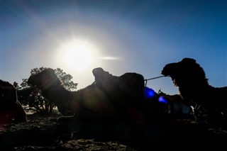 Sahara occidental prévisions météorologiques
