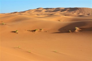 Sahara occidental prévisions météorologiques