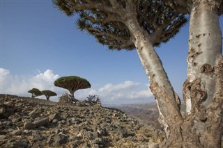 Yemen hava tahmini