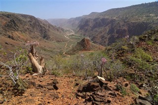 Yemen hava tahmini