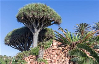 Yemen Hava tahmini